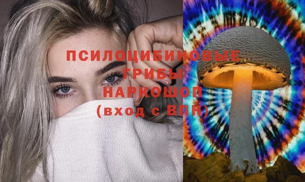 ПСИЛОЦИБИНОВЫЕ ГРИБЫ Абаза